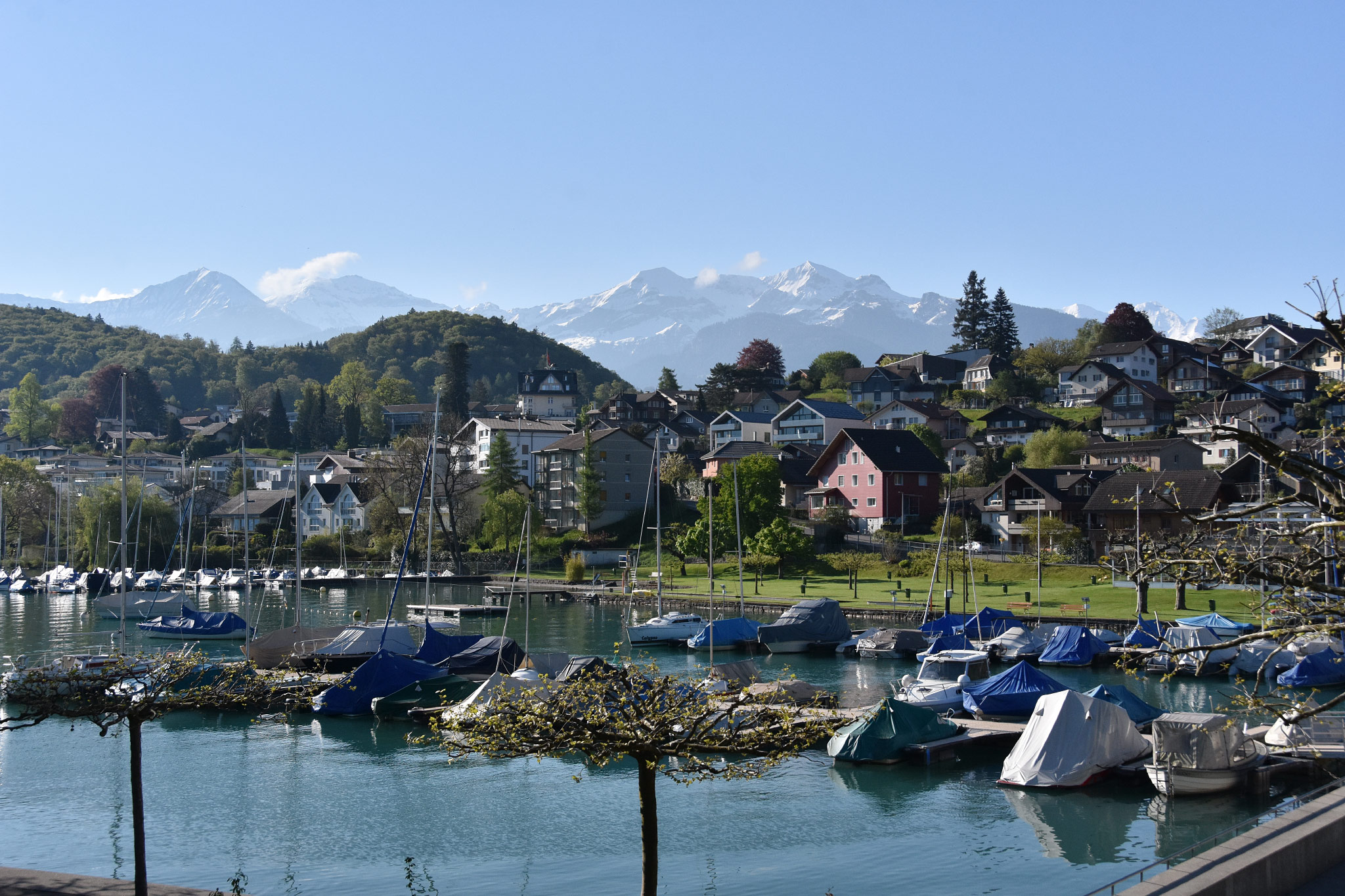 Spiez